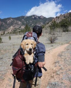 A man carrying dog on his back in a pet carrier while traveling